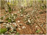 Stara Fužina - Planina Krstenica